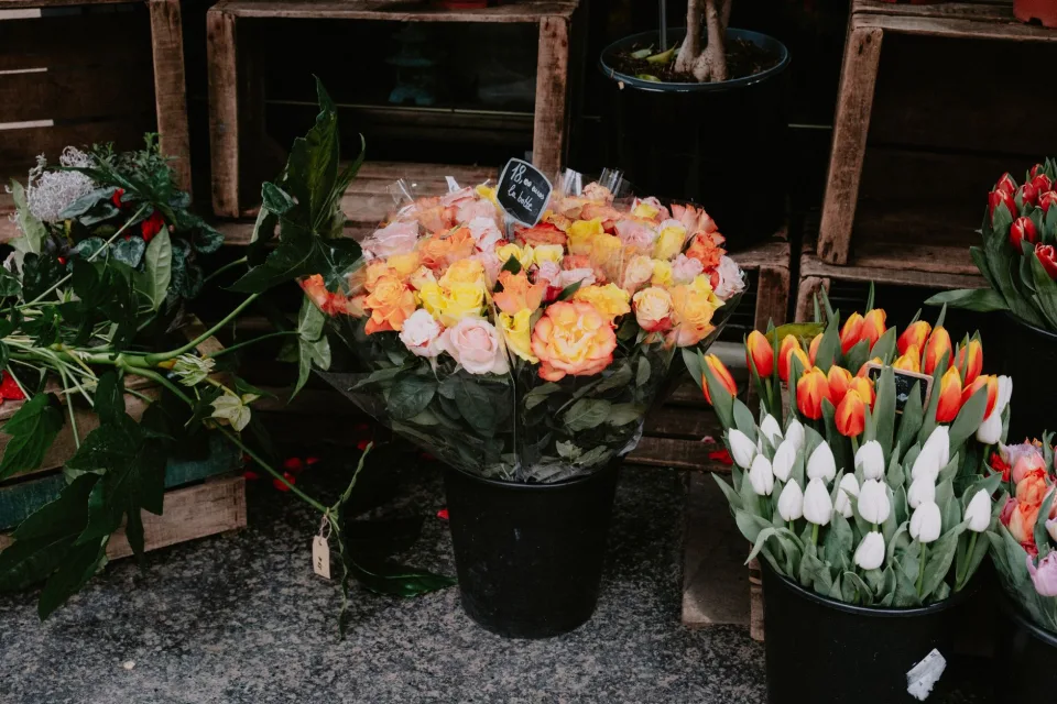 Mẫu đang có tại tiệm